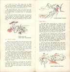 1962-Alice in Lark Land-06-07